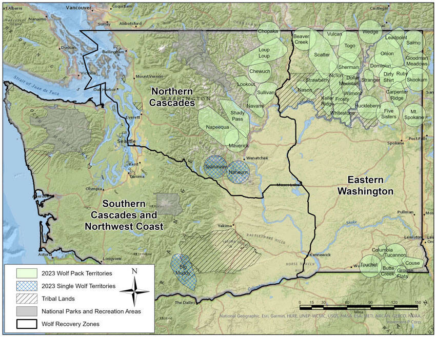 Washington’s wolf packs as of Dec. 31, 2023. <em>Courtesy of WDFW </em>