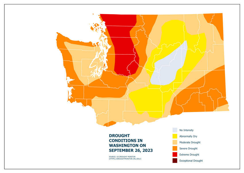 Graphic from the DNR and USFS Forest Health Report showing drought conditions in the state as of September 2023. Source: <em>U.S. Drought Monitor </em>
