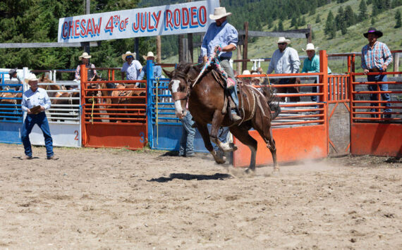 The Chesaw Fourth of July Rodeo took place under sunny skies last Thursday. The rodeo was well attended as saddle, ranch and bareback riders competed, as well as cow riders and barrel racers. <em>Laura Knowlton/staff photo</em>