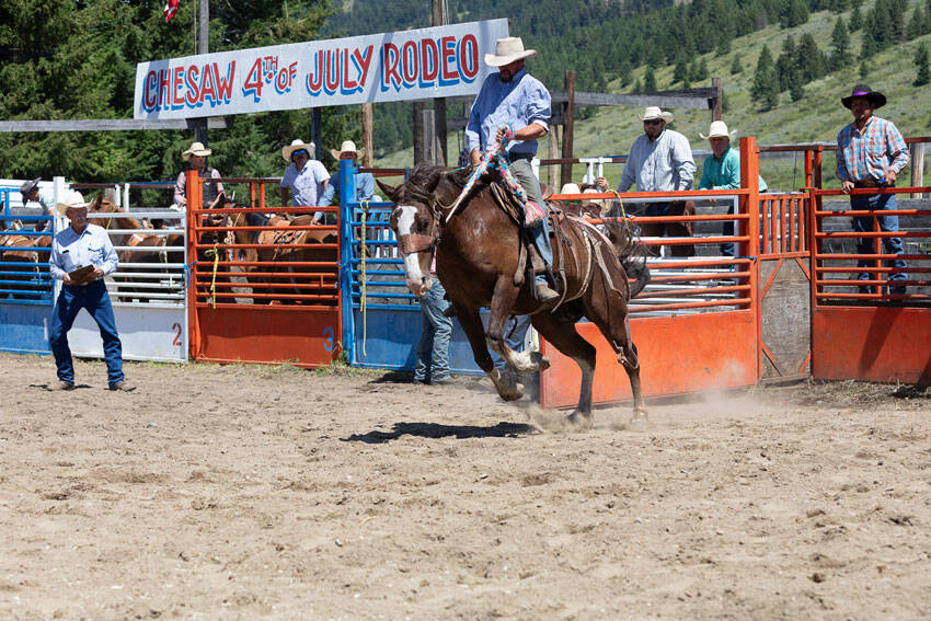 The Chesaw Fourth of July Rodeo took place under sunny skies last Thursday. The rodeo was well attended as saddle, ranch and bareback riders competed, as well as cow riders and barrel racers. <em>Laura Knowlton/staff photo</em>