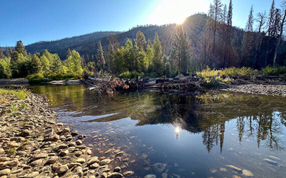 The DNR Post-Fire Recovery Program works with partners to restore aquatic and beaver habitats in burned areas like the one pictured above. <em>Photo Jessa Lewis/DNR</em>