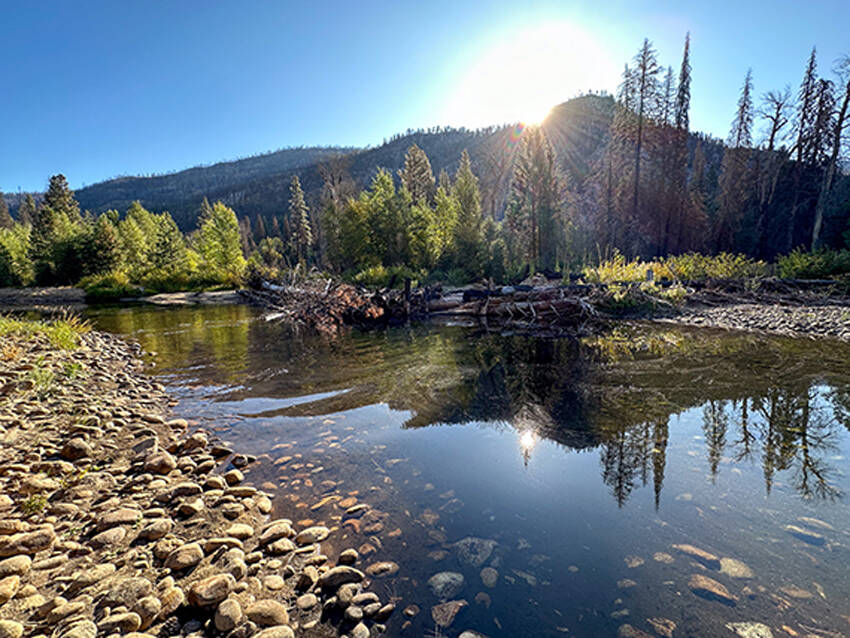 The DNR Post-Fire Recovery Program works with partners to restore aquatic and beaver habitats in burned areas like the one pictured above. <em>Photo Jessa Lewis/DNR</em>