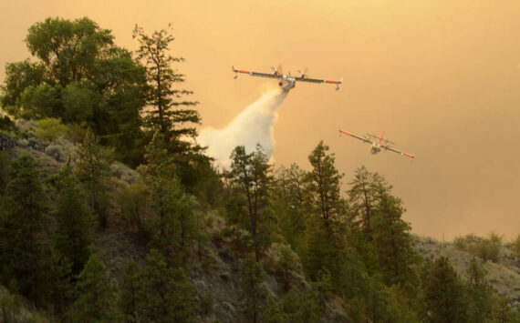 Gary DeVon/GT file photo The Eagled Bluff fire photo that took first place at the Washington Newspaper Publishers Association convention. Gary DeVon/GT file photo