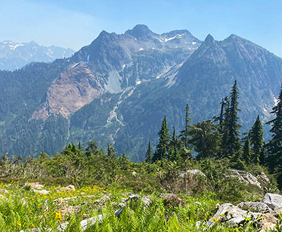 The Washington State Department of Natural Resources manages 3 million acres of state trust lands, 2 million acres of state-owned aquatic lands, and 97 natural areas covering nearly 170,000 acres. These lands include 1,300 miles of designated trails and more than 160 recreation sites, including 80 campgrounds. <em>DNR photo </em>