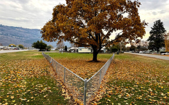 Oroville Housing Authority (OHA) had its Conditional Use Permit approved by the Oroville City Council at their Nov. 5 meeting. The OHA is bringing its multi-family housing and RV park into compliance with the city’s municipal codes. <em>Gary De Von/staff photo </em>