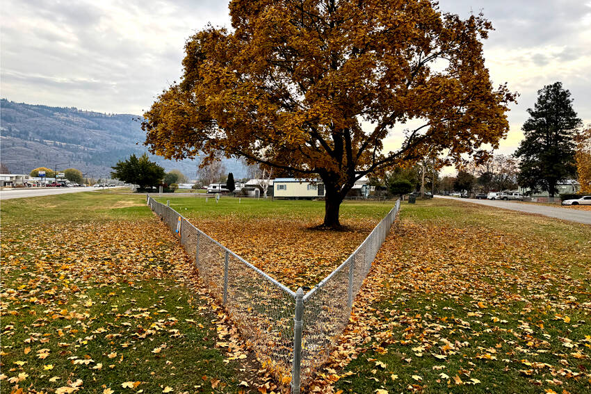 Oroville Housing Authority (OHA) had its Conditional Use Permit approved by the Oroville City Council at their Nov. 5 meeting. The OHA is bringing its multi-family housing and RV park into compliance with the city’s municipal codes. <em>Gary De Von/staff photo </em>