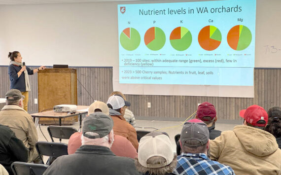 Bernardita Sallato, with WSU Extension, spoke on apple and cherry fertility and “Getting the most bang for your buck.” Gary De Von/staff photos