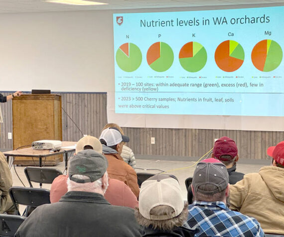 Bernardita Sallato, with WSU Extension, spoke on apple and cherry fertility and “Getting the most bang for your buck.” Gary De Von/staff photos